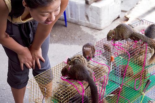 BANGKOK,un dernier tour de marché avant l'ISAN..