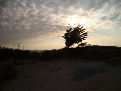 NOIRMOUTIER,La belle....