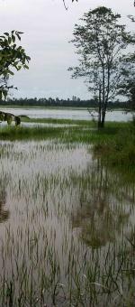 INONDATIONS ! ( Clap!Deuxième ...)