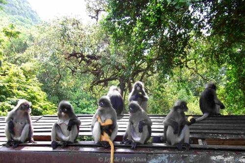 Au sud, Ban Saphan...Une ballade, ça vous dit?