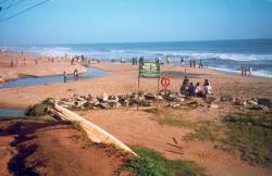 Varkala, une tranche de vie ! (troisième partie)