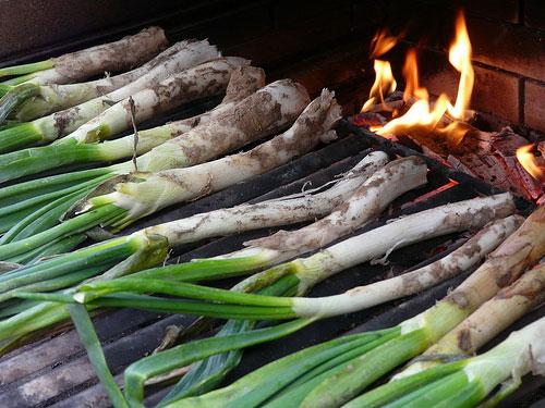 saison calcots 