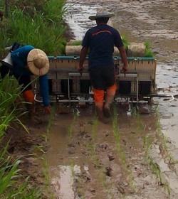 L'offensive Kubota !