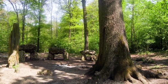 Forêt Meudon Caractère Original Randonnées insolites et incontournables de France