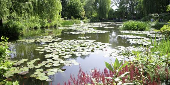 Jardin Eau Monet Giverny Normandie Week ends aux milles couleurs en Normandie, la muse des peintres