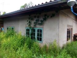 À Ban Pangkhan, les maisons ont la bougeotte !