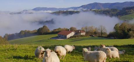 Fotolia 46899331 S Visiter le Pays Basque, entre découvertes culturelles et ferias des Bayonne !