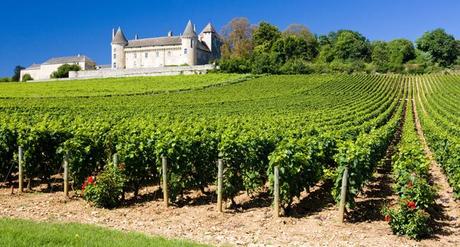Fotolia 23450042 S Week end autour du vin en Bourgogne