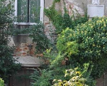 Venise jardins…