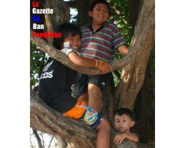 La gazette de Ban Pangkhan (25). Du 1/04 au 15/06/2014.
