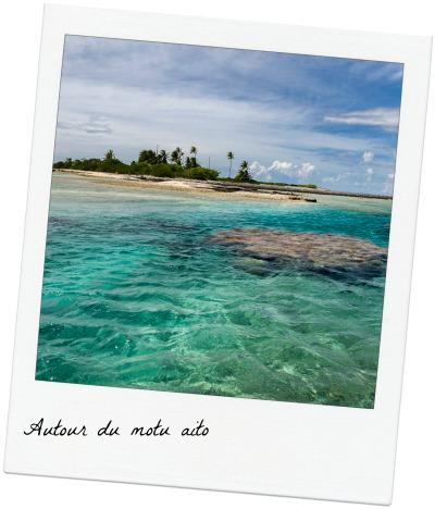C’est LÀ qu’il faut aller à Fakarava motu_aito 2