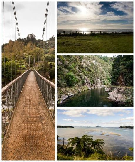 De Auckland à Rotorua, road trip en Nouvelle-Zélande Bay of plenty