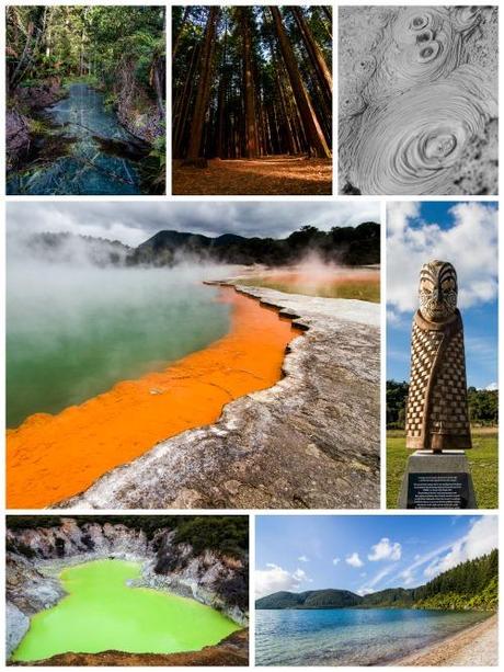 De Auckland à Rotorua, road trip en Nouvelle-Zélande Rotorua