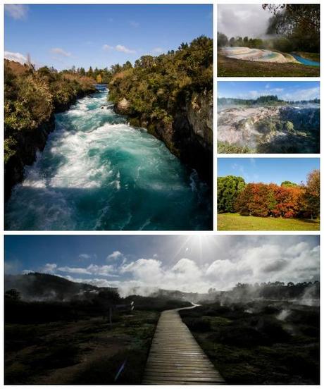 lake taupo region