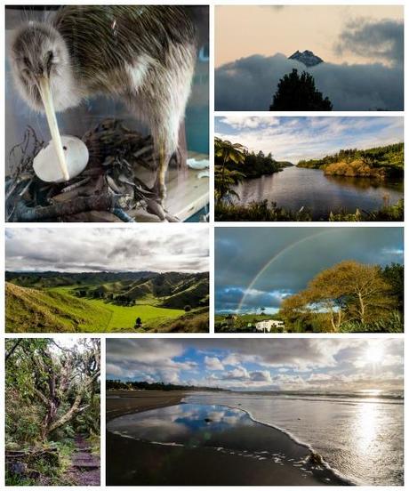 Du Mount Egmont à Waitakere Ranges, Road trip Nouvelle-Zélande Taranaki