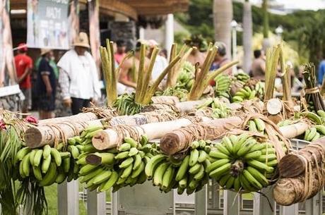 Les porteurs de fruits, sport traditionnel tahitien charge_porteur_fruit