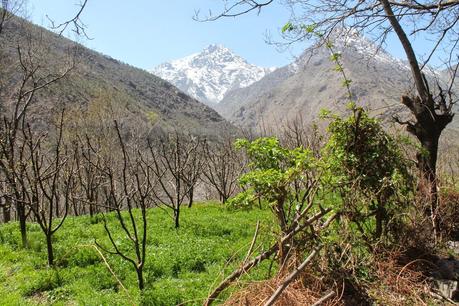 Aït Souka, village du haut Atlas marocain.