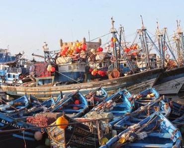 Quelques heures à Essaouira