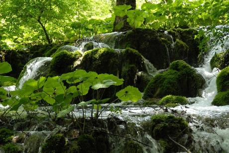 Croatie : se ressourcer à Plitvice