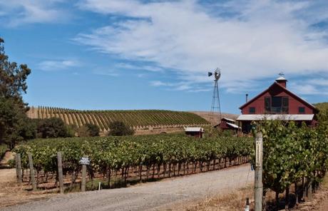 Tremblement de terre à Napa : Le jour d'après...