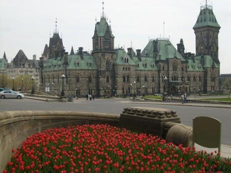 Quand Ottawa se couvre de trois millions de tulipes