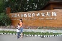 Les pandas de Chengdu, trésor de la Chine