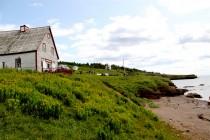 Canada : l’île Bonaventure, paradis des Fous de Bassan