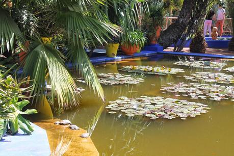 Le jardin Majorelle