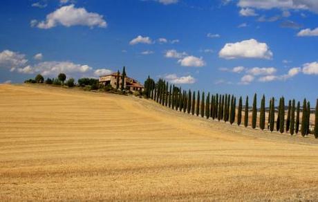 Paysage du film Gladiator - Toscane - Italie