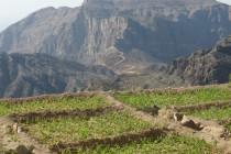 Oman, le trésor caché du Moyen-Orient