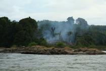 Suriname : le Maroni, un fleuve à contre-courant