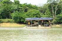 Suriname : le Maroni, un fleuve à contre-courant