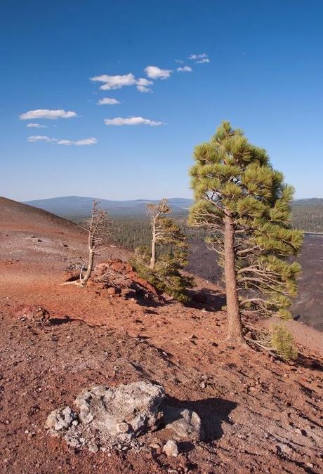 Lassen Volcanic National Park