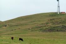 Nord Drakensberg : aux sources de l’Afrique du Sud