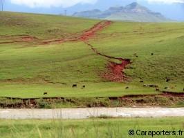 Nord Drakensberg : aux sources de l’Afrique du Sud