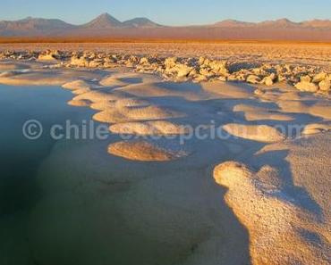 Aux alentours de San Pedro de Atacama