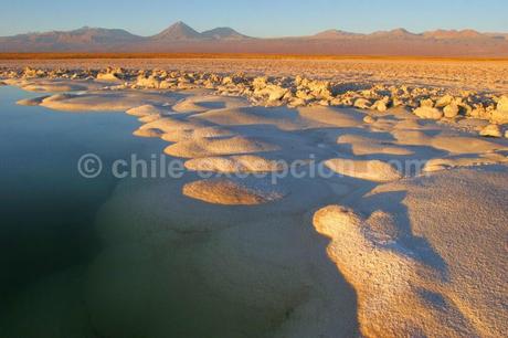 Article invité* : Aux alentours de San Pedro de Atacama