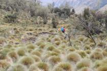 C’est parti pour un trek dans la Cordillère des Andes