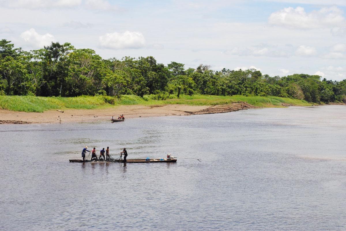 Amazonie : aux portes de la belle amazone   1ère partie