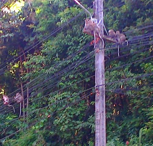 En Thaïlande : Koh Chang, la cambodgienne !