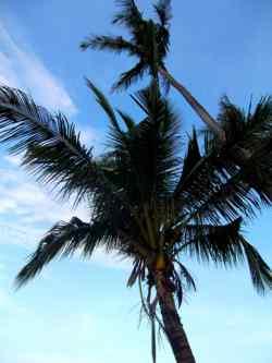 En Thaïlande : Koh Chang, la cambodgienne !