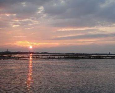 Isola di S.Felice delle Saline