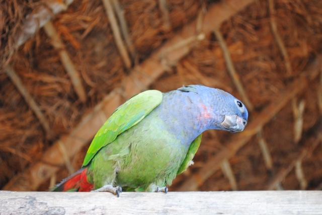 Pérou : en route pour Cusco, la Vallée Sacrée et le Machu Picchu