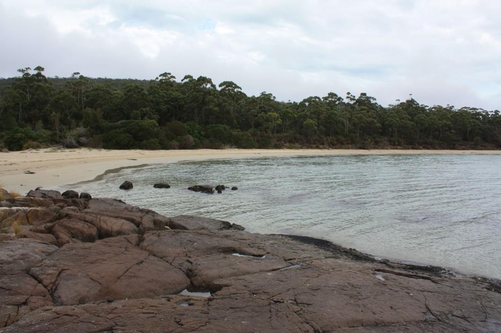 recherche bay cockle creek