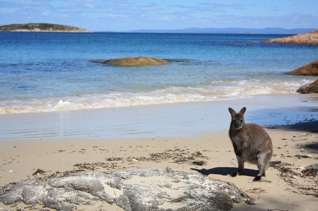 hazard beach