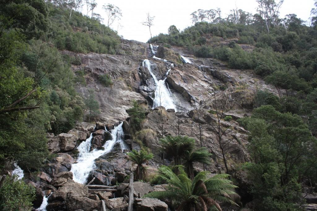 st columba falls tasmanie