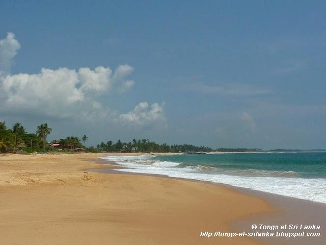 Faut-il partir au Sri Lanka... en couple ou pour sa lune de miel ? Faut-il partir au Sri Lanka... en couple ou pour sa lune de miel ?