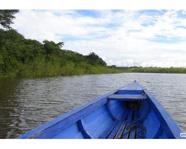 2 jours et 1 nuit dans la forêt Amazonienne