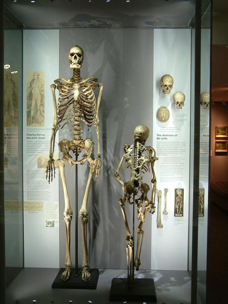 La Chirurgie au Musée