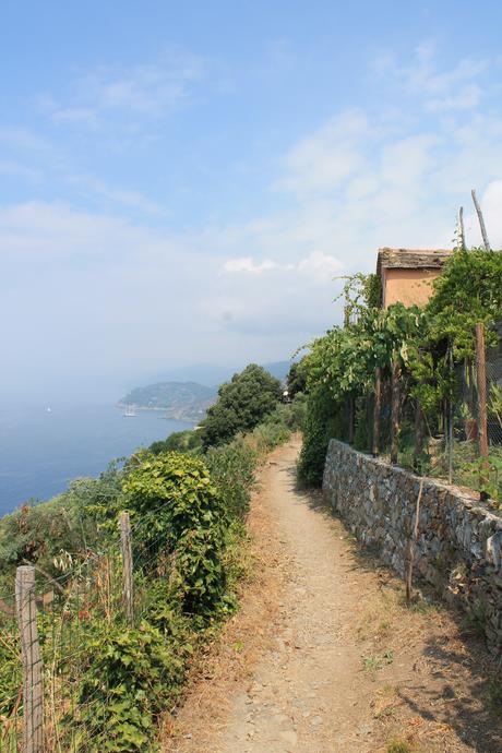 Cinque Terre en Italie : comment y aller et se déplacer entre les villages ? Un chemin de randonnée aux 5 Terre
